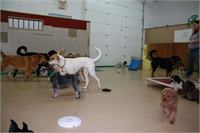 daycare pic 135